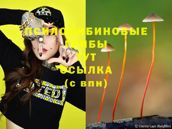 винт Карпинск
