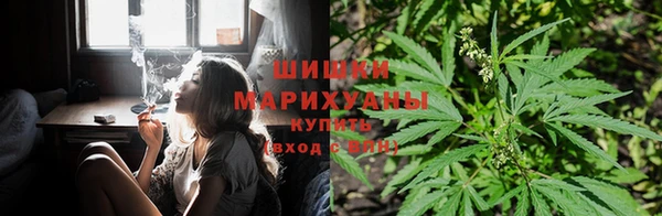 ешки Кинешма