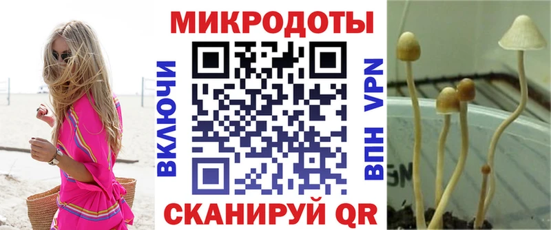Купить где  Чебоксары  Псилоцибиновые грибы Magic Shrooms 